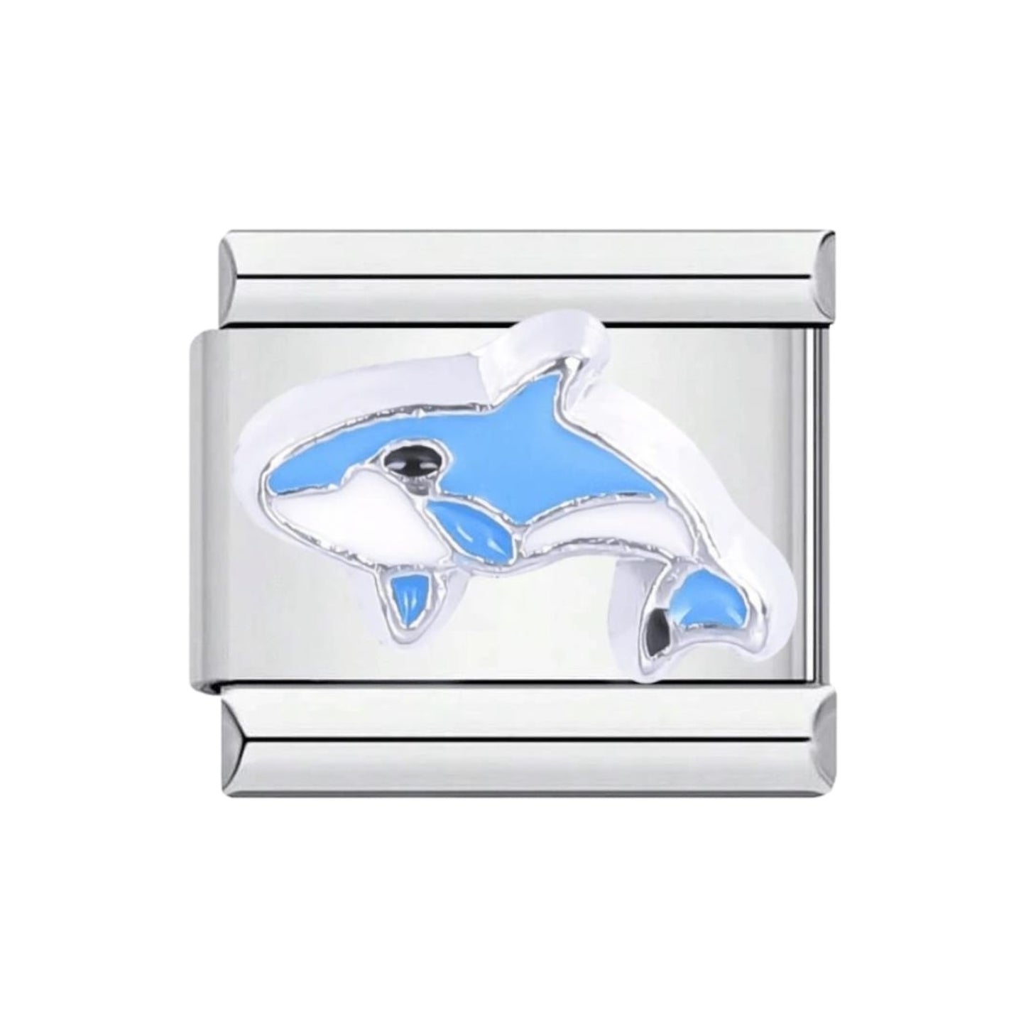 Blue Whale | Charm
